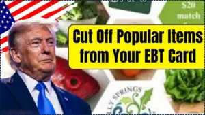 Cut Off Popular Items from Your EBT Card