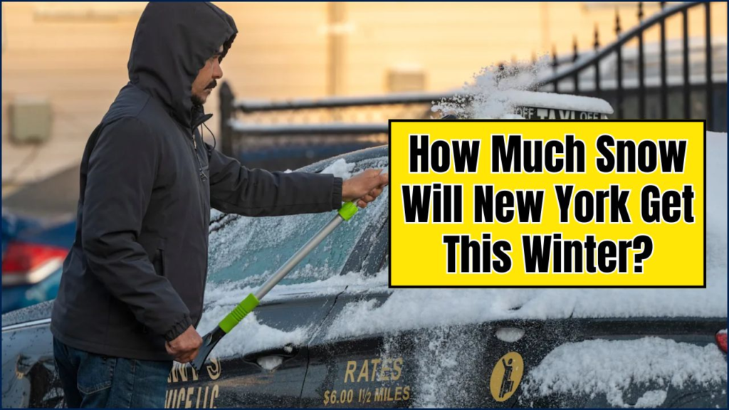 How Much Snow Will New York Get This Winter? Here's the Latest NOAA 2025-26 Forecast 1 NOAA 2025-26 Forecast