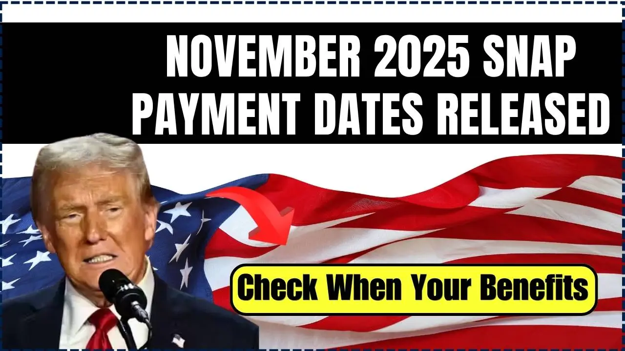 November 2025 SNAP Payment Dates