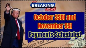October SSDI and November SSI Payments Scheduled by Social Security for 2025