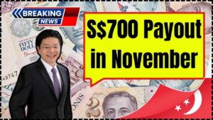 S$700 Payout in November 2025: When Will You Receive It and Who Gets It? 9 S$700 Payout in November 2025
