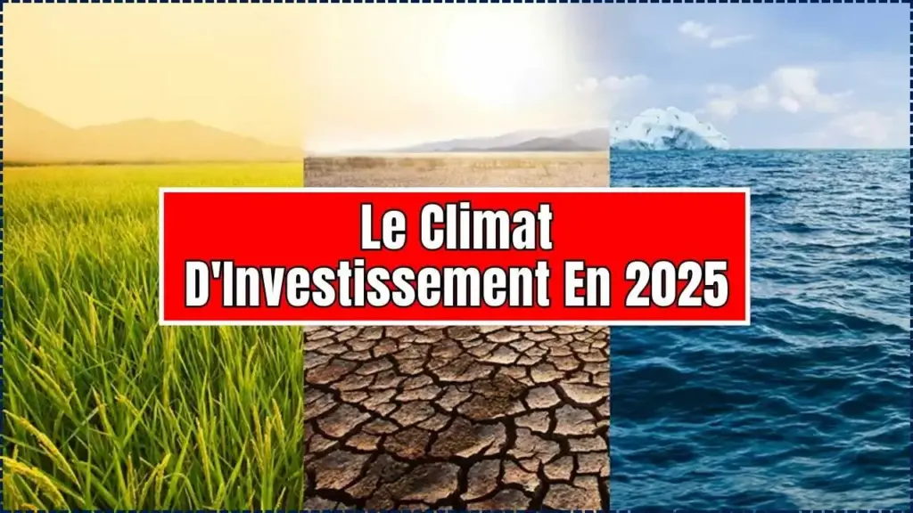 Le Climat D'Investissement En 2025 – Perspectives Et Défis Pour Les Investisseurs Étrangers 1 Le Climat D'Investissement En 2025