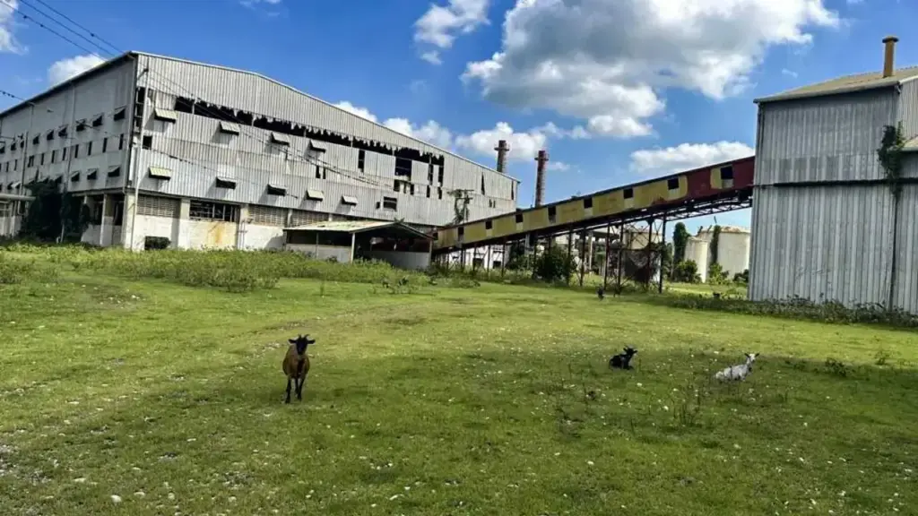 La Massive Sucrerie De Darbonne En Haïti 